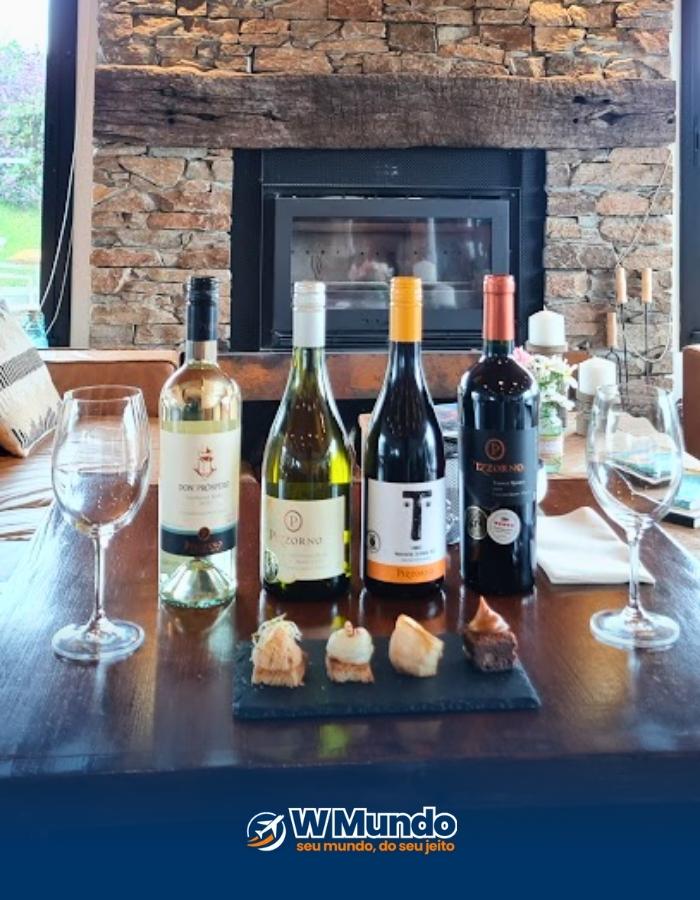 Vinhos da Bodega Pizzorno